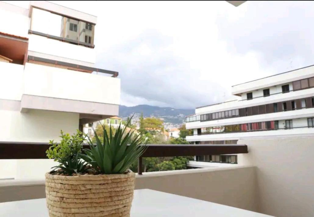 Vista Infante Apartments Φουνκάλ Εξωτερικό φωτογραφία